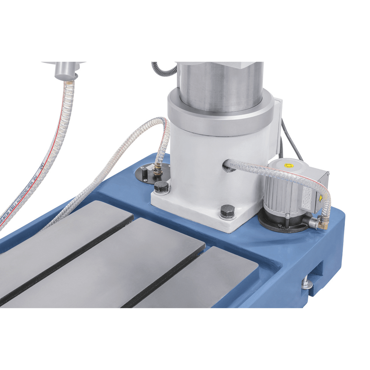 Bernardo Trapano a colonna GB 55