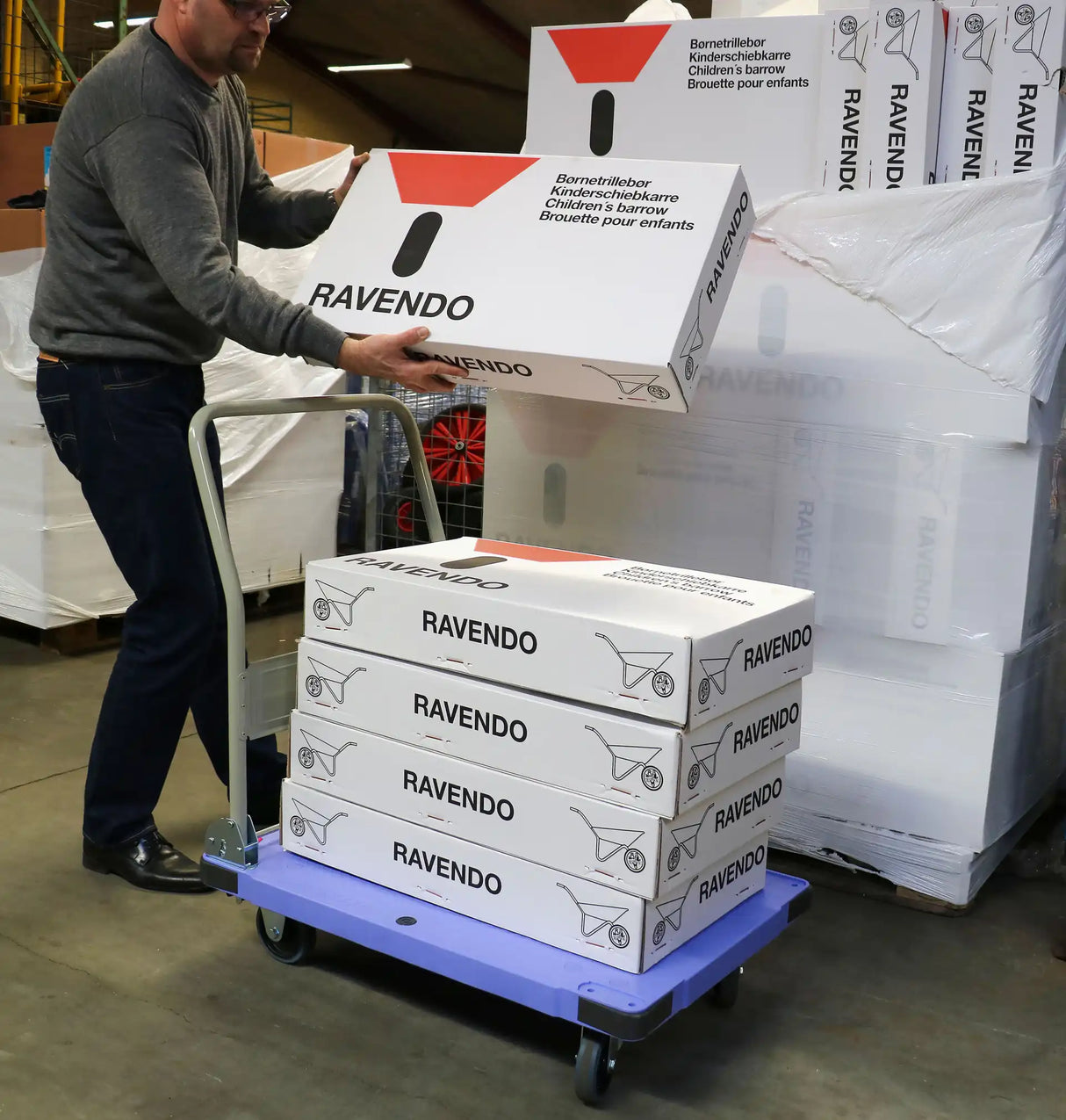 Ravendo Heavy WHTP 300 WB – Carrello da trasporto con freni