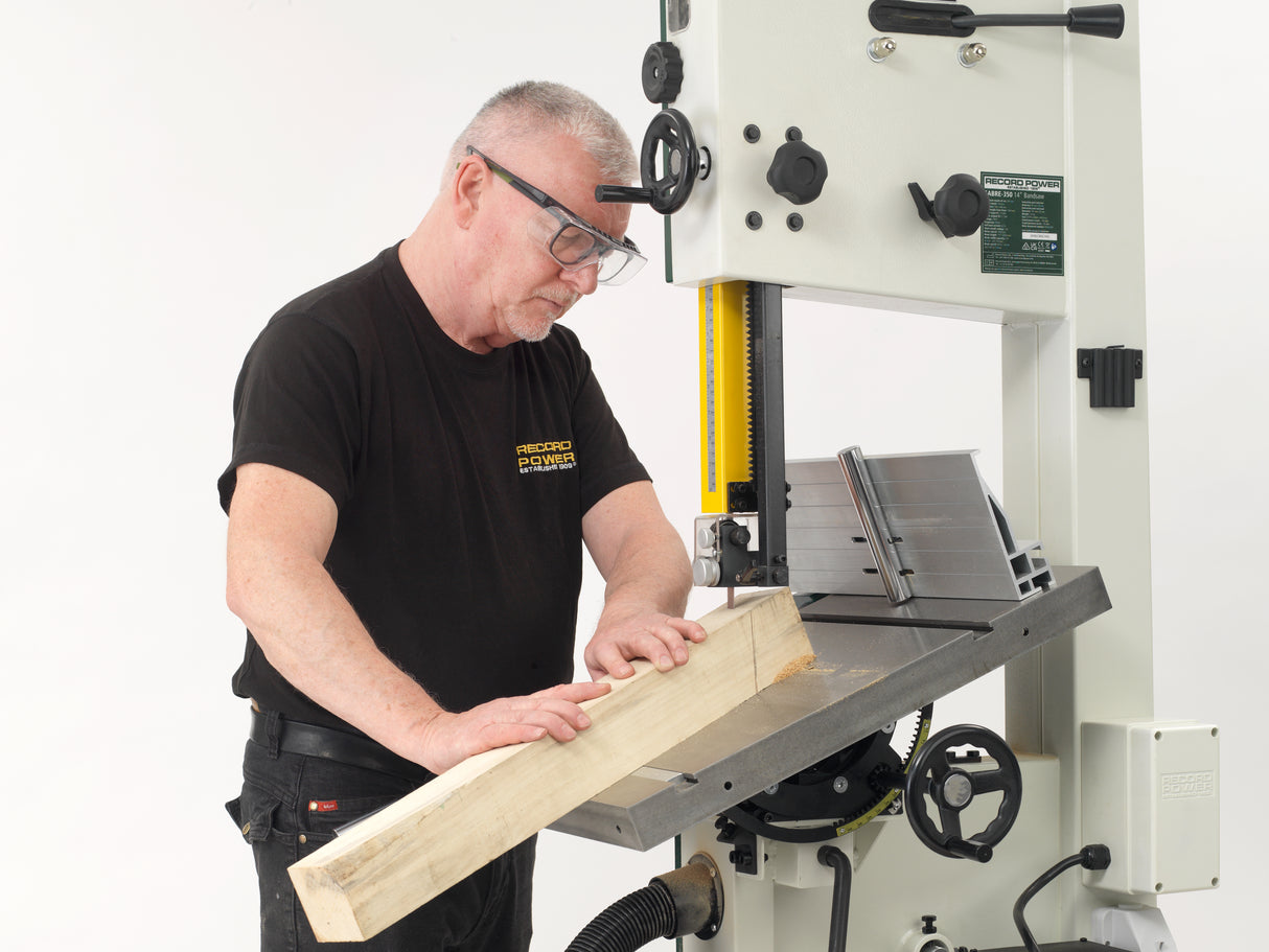 Sega a nastro per legno Record Power Sabre-350