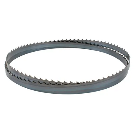 Lama sega a nastro da 2946mm - 19 x 0,8mm 2Tpi