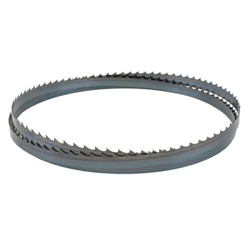 Lama sega a nastro da 2946mm - 19 x 0,8mm 2Tpi