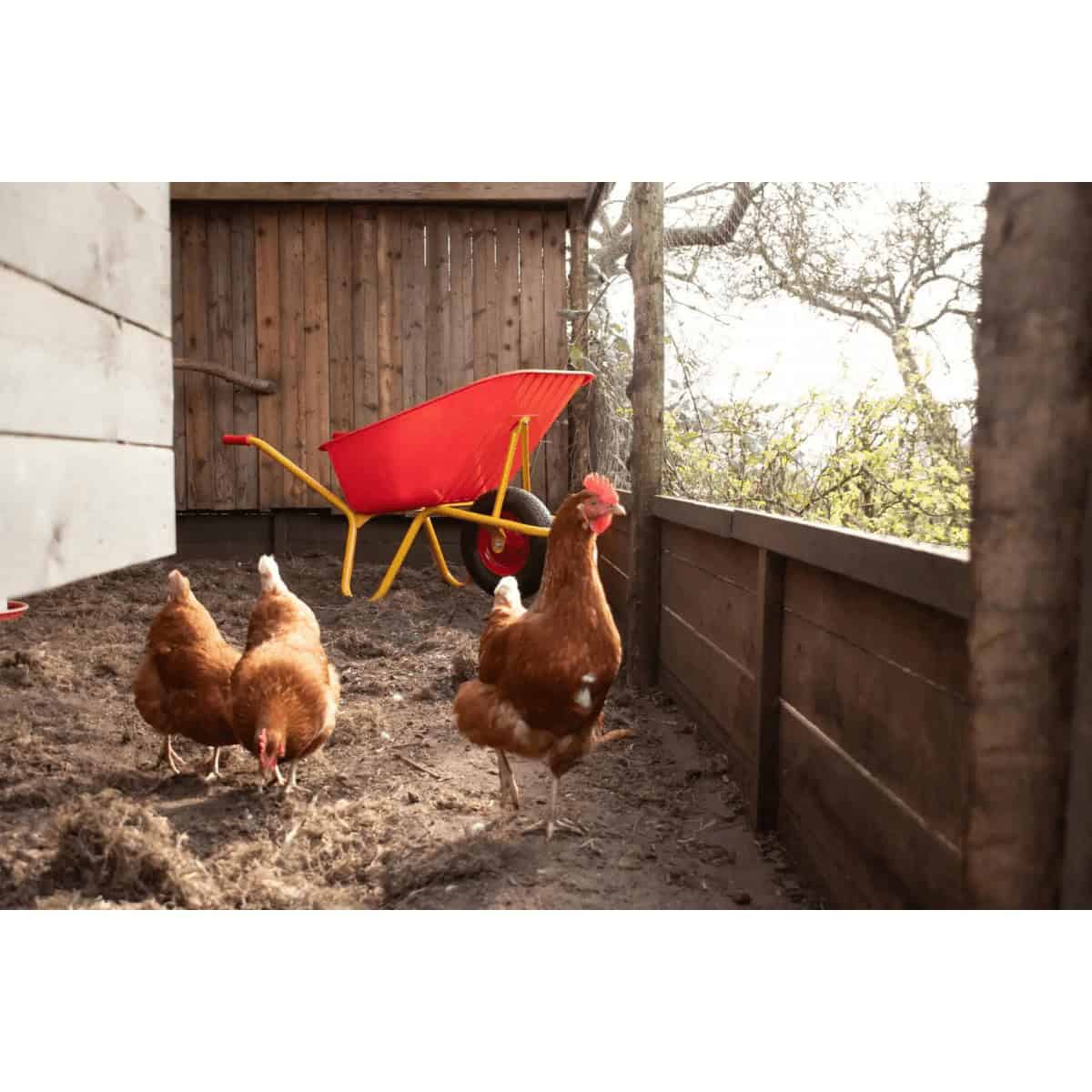 Construction site wheelbarrow BU 1000 PP AVANTI