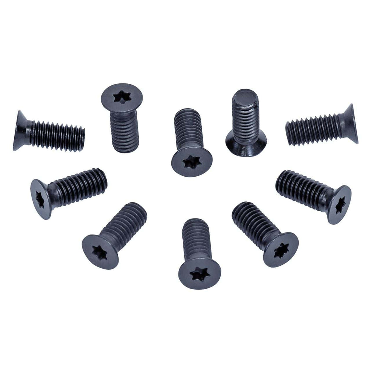 Replacement screws for spiral cutter arbor (10 pieces) | AD 310 S / AD 410 S / PT 410 S / DH 310 S / DH 410 S / SP 150 PS 15-1079