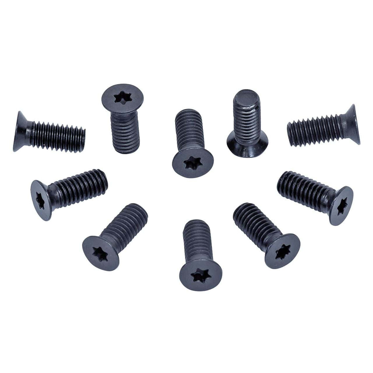 Replacement screws for spiral cutterblock (10 pieces) | ADM 260 S / AD 260 S / FS 310 PS / PT 310 S
